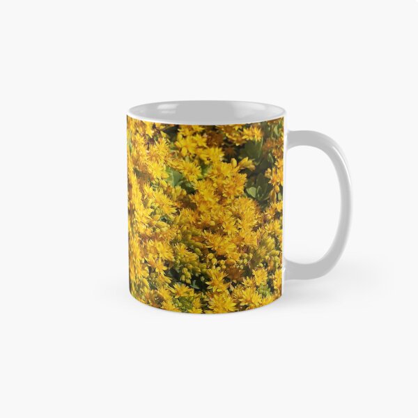 Item preview, The Yellow Flowers Of Succulents  designed and sold by Joy Watson - Natural Light Photography .