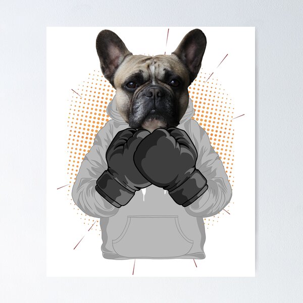 pug, boxing, boxing gloves gift idea Poster by Eichberger91