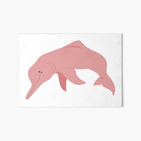Amazon River Dolphin Wall Art Redbubble