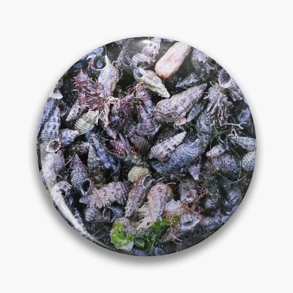 Artikelvorschau, Stocksom Muscheln Blau entworfen und verkauft von Stocksom  Art Prints.