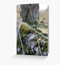 Barbed Wire fence Greeting Card