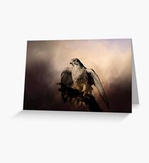 Prairie Falcon Greeting Card