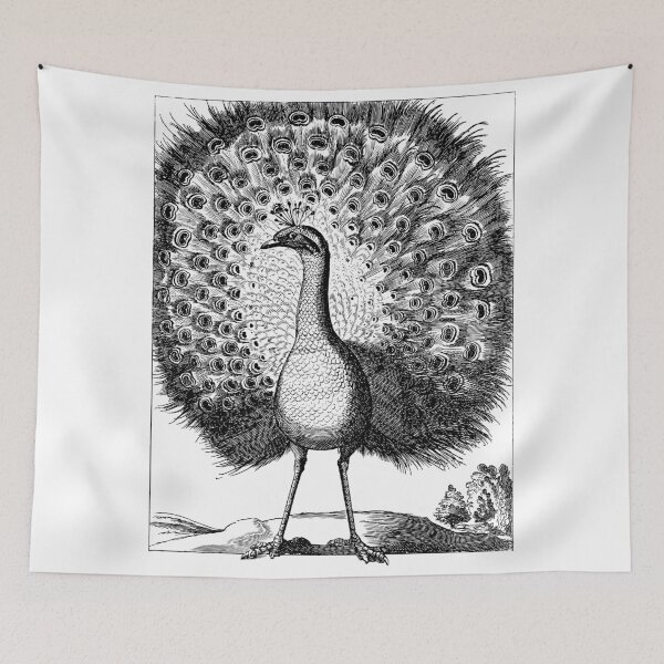 Item preview, Vintage peacock. designed and sold by emphatic.