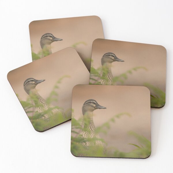Item preview, Mallard Duck  designed and sold by Willbadmanphoto.