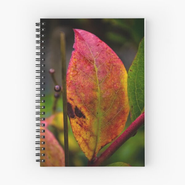 Item preview, Colors of Autumn designed and sold by SD 2016 Photography & Art Creations.