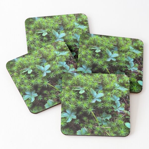 Item preview, wild strawberry patch designed and sold by Lisa Casineau.