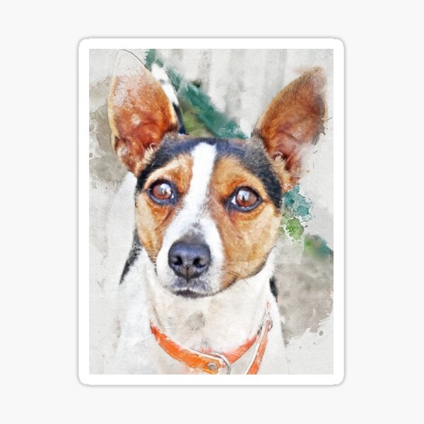 Billy Sticker
