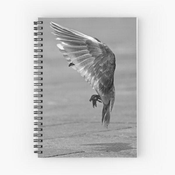 Item preview, The angel of San Marco. designed and sold by Blessed-Sky.