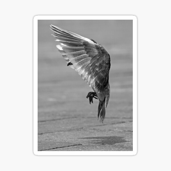 Item preview, The angel of San Marco. designed and sold by Blessed-Sky.