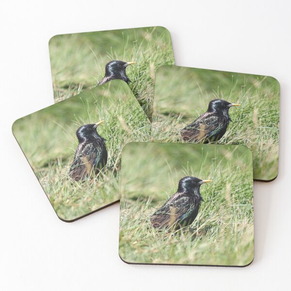 Item preview, Starling in a garden designed and sold by GreyFeatherPhot.
