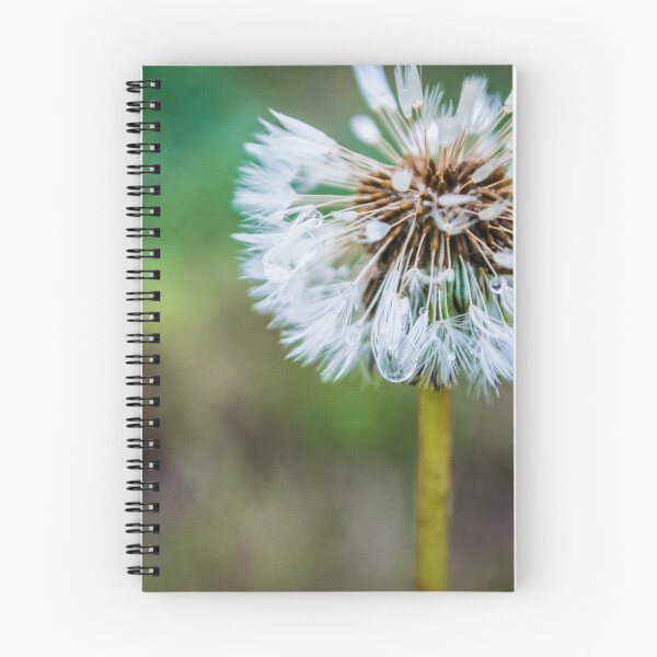 Item preview, Water Soaked Seeds designed and sold by SD 2016 Photography & Art Creations.