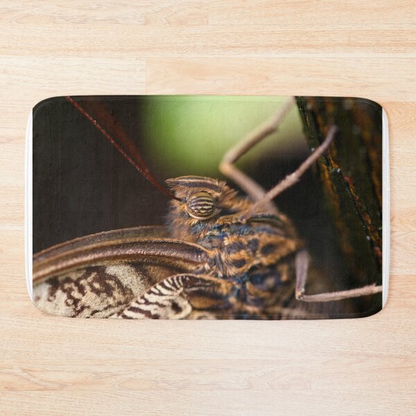 Item preview, Owl butterfly closeup designed and sold by GreyFeatherPhot.