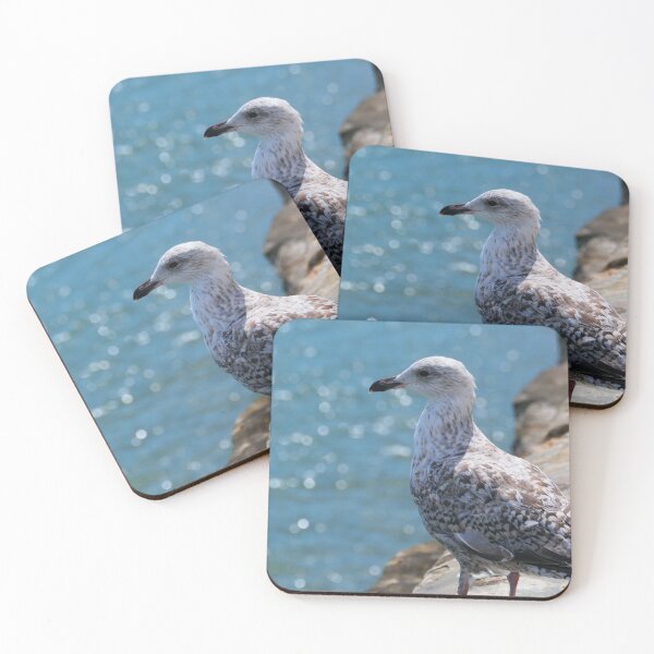 Item preview, Juvenile herring goal looking out to sea designed and sold by jay24601.
