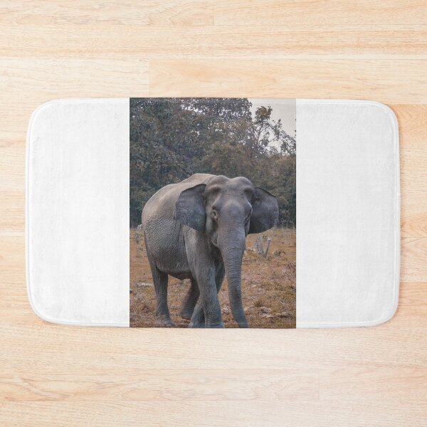 Item preview, Survival of the fittest designed and sold by MousaObaid.