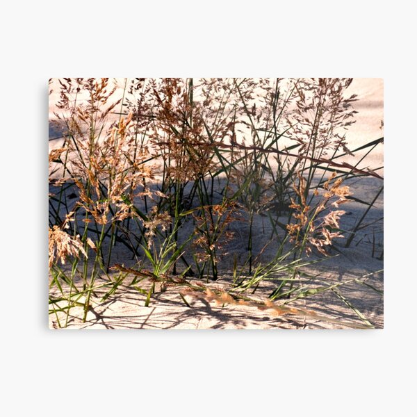 Pick Up Sticks Metal Print