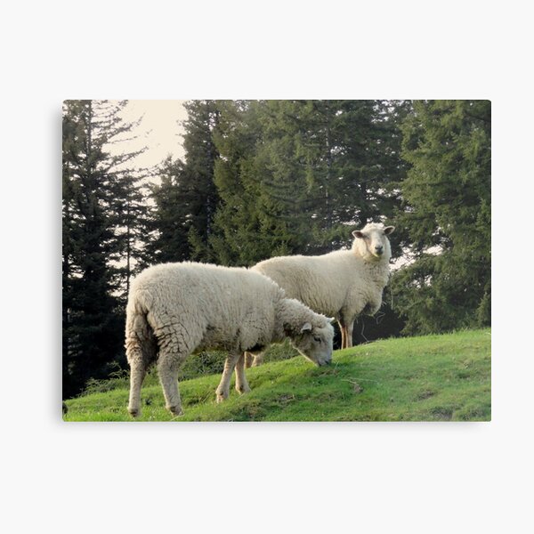 The Bystanders Metal Print