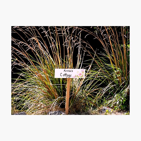 Here's Your Sign Photographic Print