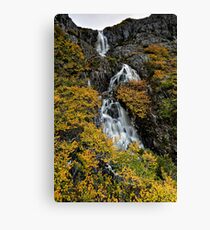 Fagus Falls Canvas Print