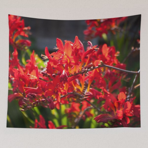 Item preview, Summer on fire designed and sold by LindaCooke.