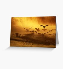 20.3.2014: Swans at River I Greeting Card
