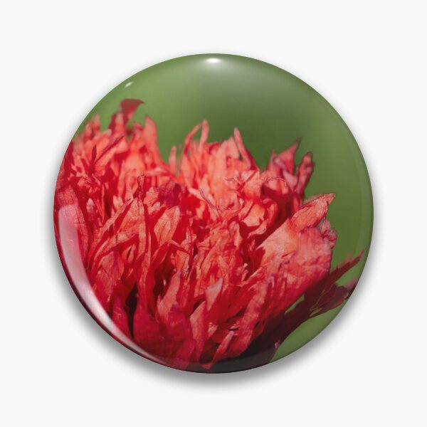 Item preview, The flaming red poppy 1 designed and sold by Jouko Lehto Photography.