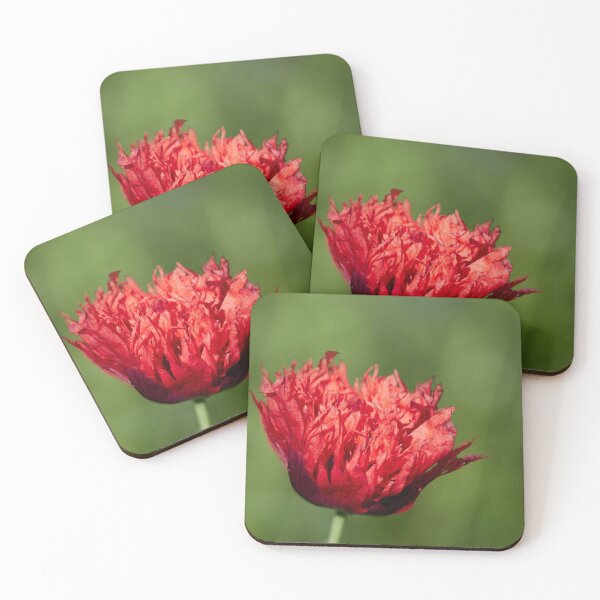 Item preview, The flaming red poppy 1 designed and sold by Jouko Lehto Photography.