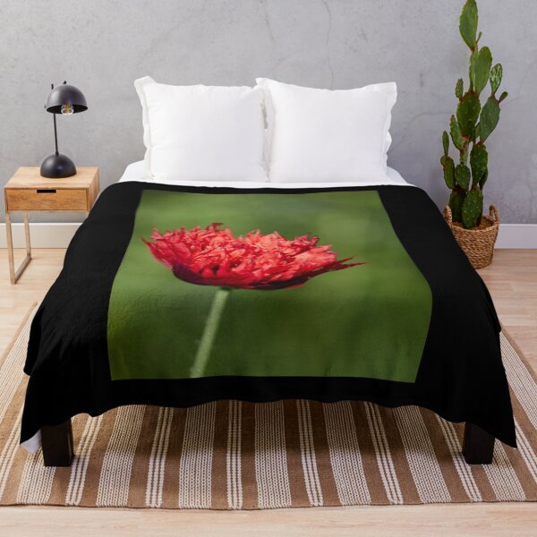 Item preview, The flaming red poppy 1 designed and sold by Jouko Lehto Photography.