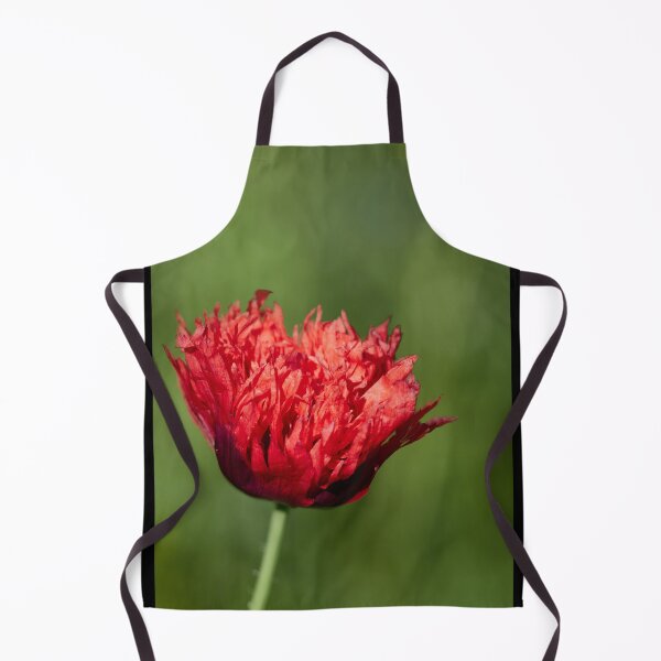 Item preview, The flaming red poppy 1 designed and sold by Jouko Lehto Photography.