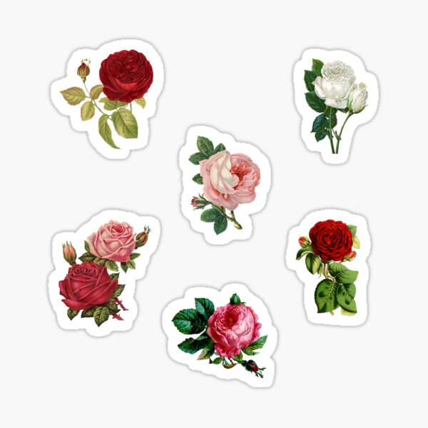 Vintage Botanical Stickers for Sale