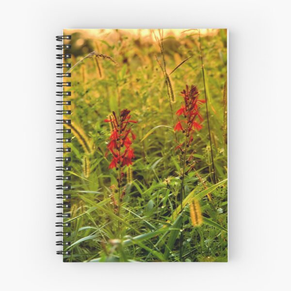 Item preview, Foxtail Marsh Cardinal designed and sold by LynyrdSky.