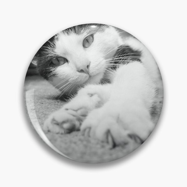 Item preview, Will you play with me? designed and sold by Beverley Goodwin.