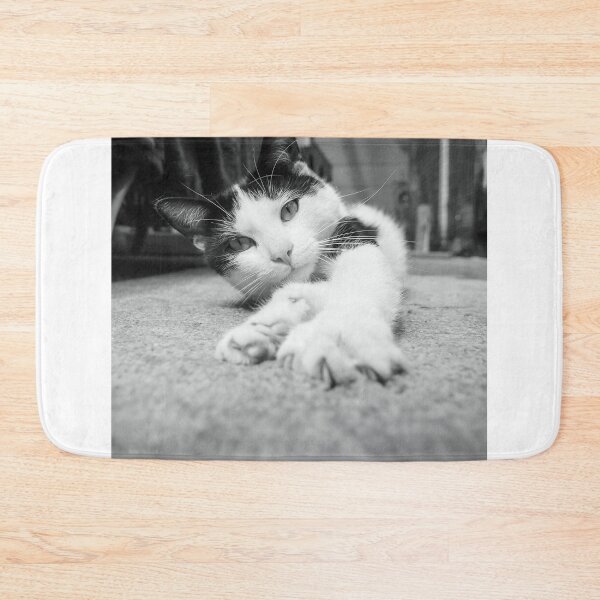 Item preview, Will you play with me? designed and sold by Beverley Goodwin.