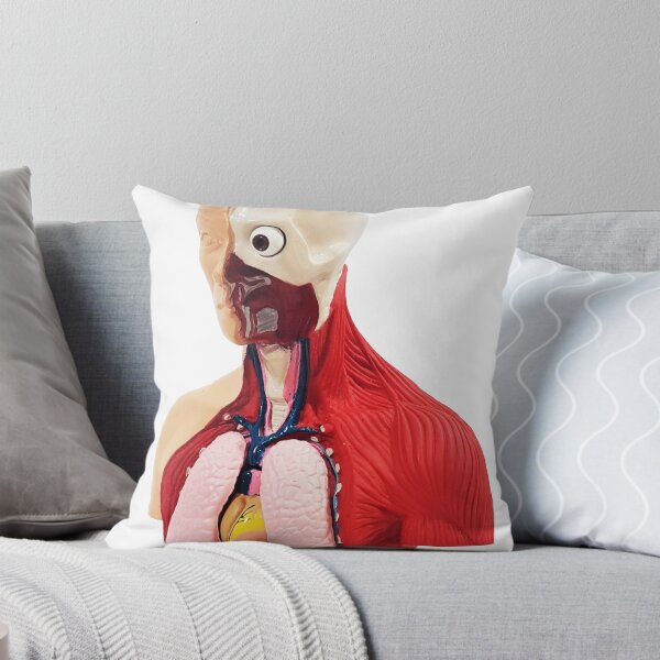 Item preview, Human Torso Anatomy Model designed and sold by ZapWow.