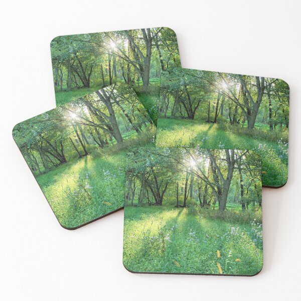 Item preview, Obedient Plant Sunrise designed and sold by LynyrdSky.