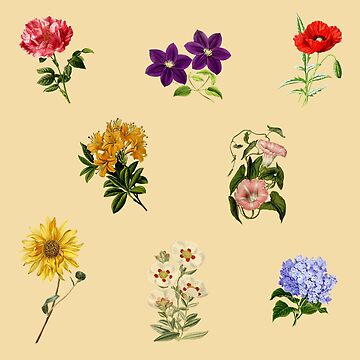 Artwork thumbnail, Vintage Flowers pack 1 by Ranp