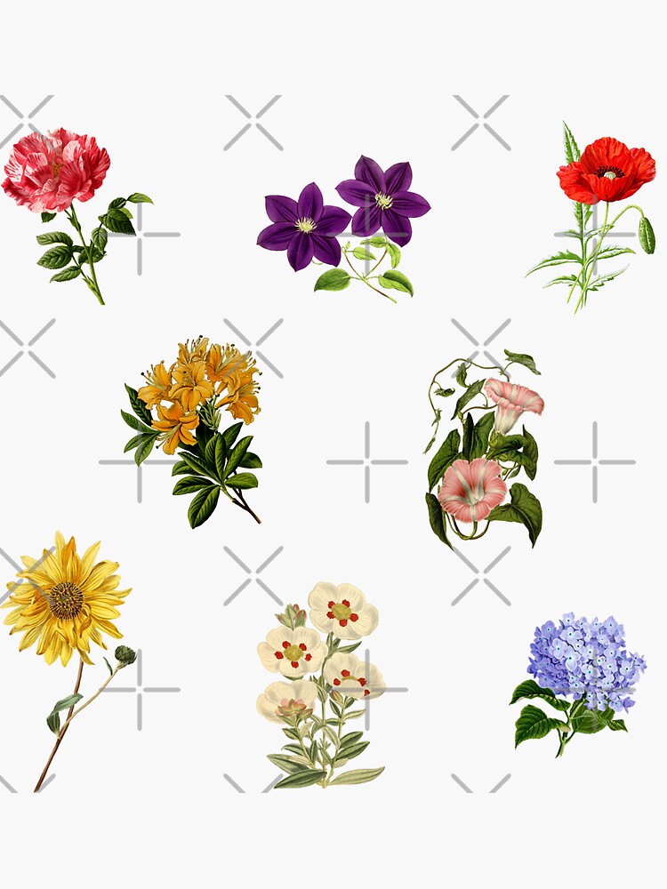 Page Title: Vintage Bullet Journal Flower Sticker Set - 100 Unique