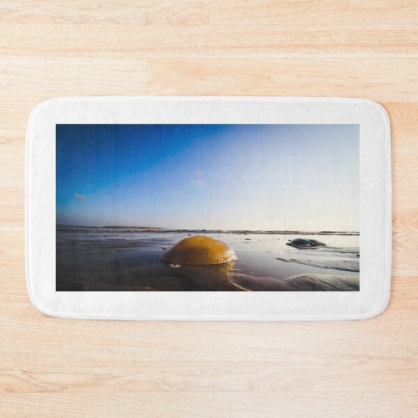 Item preview, Jellyfish on the Beach designed and sold by HalcyonPrints.