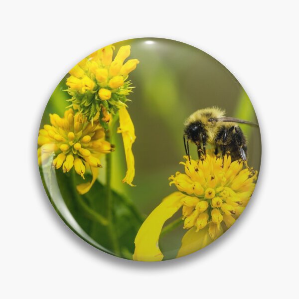 Item preview, Bumblebee designed and sold by mljdwhite.