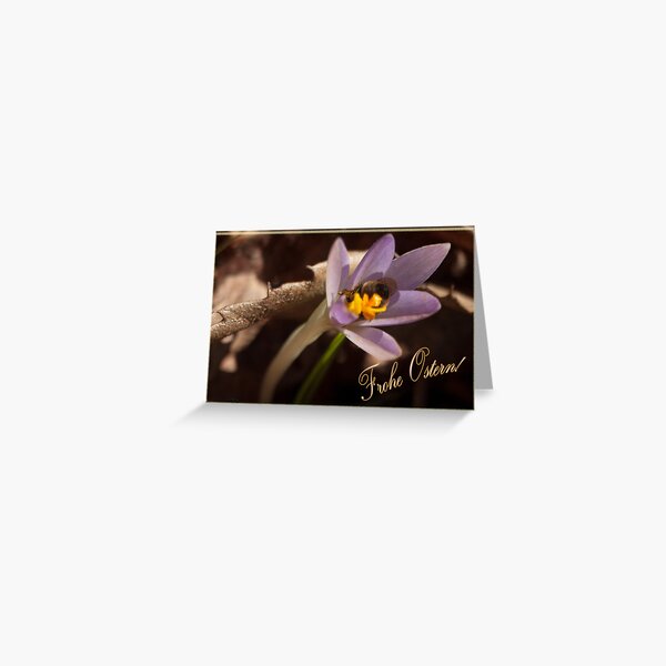 Frühlingsgruß - Krokus Greeting Card