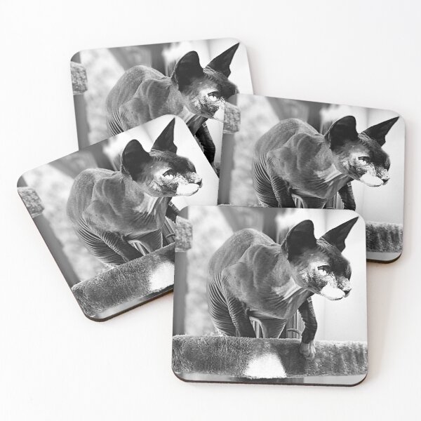 Item preview, Black and White Watching Sphynx - Hairless Cat designed and sold by SMilllar.