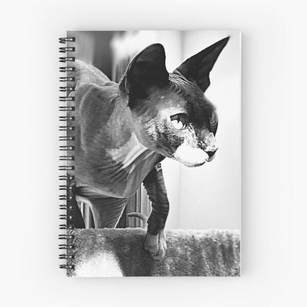 Item preview, Black and White Watching Sphynx - Hairless Cat designed and sold by SMilllar.