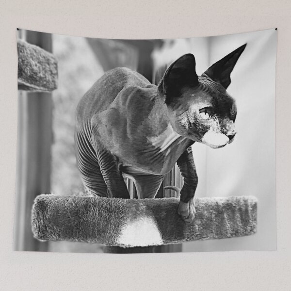 Item preview, Black and White Watching Sphynx - Hairless Cat designed and sold by SMilllar.