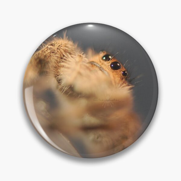 Item preview, Curious jumping spider designed and sold by SharpSpiders.