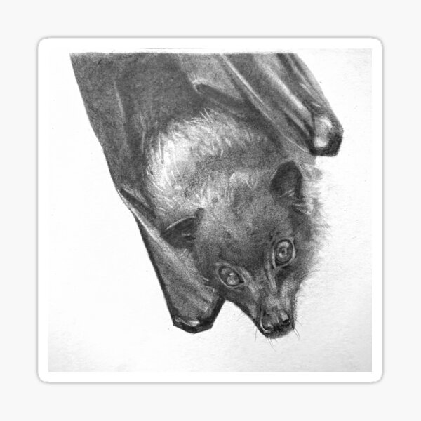 Item preview, Wachsame hängende Fledermaus designed and sold by FineLineStudio.