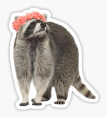 Clexa Raccoon Sticker