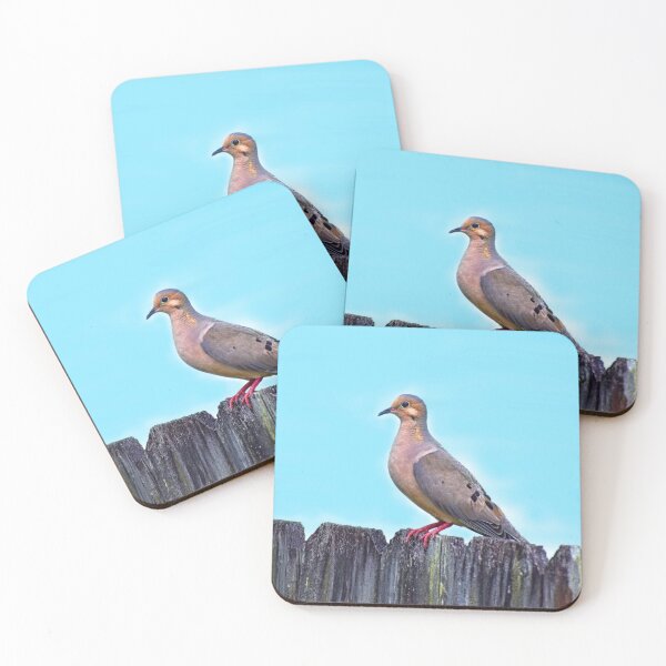 Item preview, Mourning Dove on a Fence designed and sold by RoxanneG.