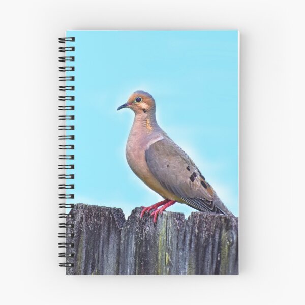 Item preview, Mourning Dove on a Fence designed and sold by RoxanneG.