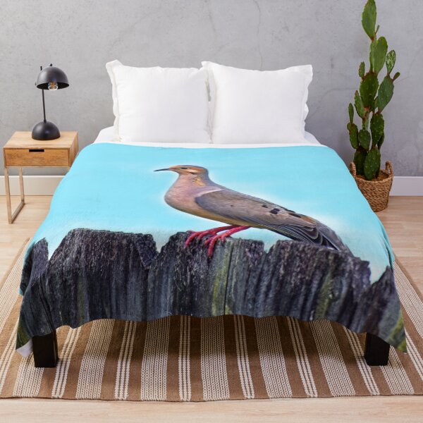 Item preview, Mourning Dove on a Fence designed and sold by RoxanneG.
