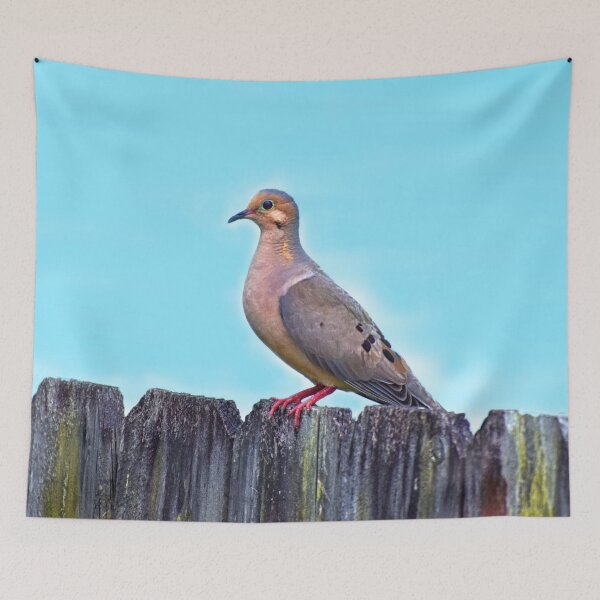 Item preview, Mourning Dove on a Fence designed and sold by RoxanneG.
