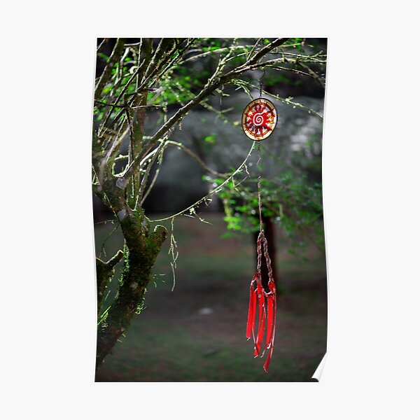Dream Catcher in the woods Poster